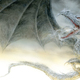 Illustration for article titled George R.R. Martin Is Writing A Game Of Thrones Children's Book